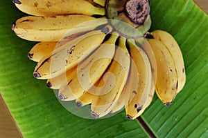 Latundan banana. photo