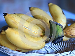 Latundan Banana photo