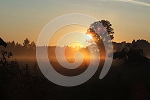 Latvia Lubana fields sun set