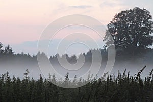 Latvia Lubana fields sun set