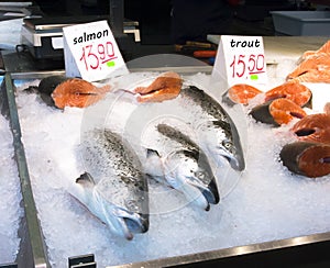 Latvia. Sale of salmon and trout of the Riga market.