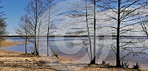 Spring on the shore of Lake  photo