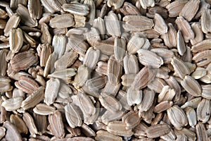 Lau seeds.It is a local vegetable seeds.It is delicious and healthy food.