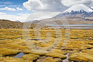 Lauca National Park photo