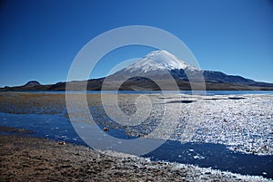 Lauca National Park - Chile photo