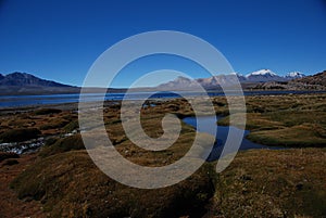 Lauca national Park - Chile