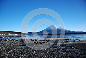 Lauca National Park - Chile