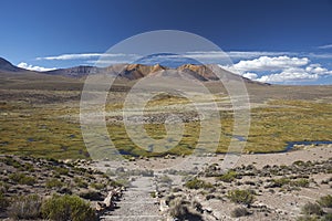 Lauca National Park, Chile