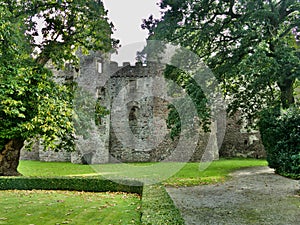 Laugharne Castle through the trees