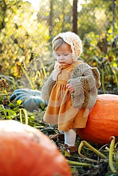 Laughing adorable baby girl with a pumpkin