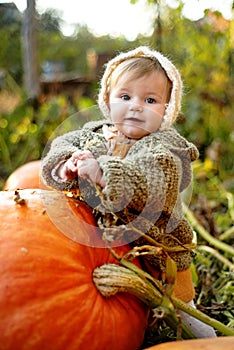 Laughing adorable baby girl with a pumpkin