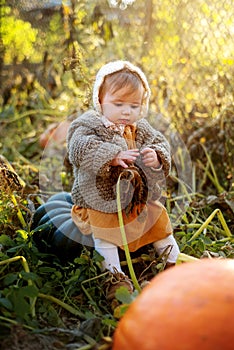 Laughing adorable baby girl with a pumpkin