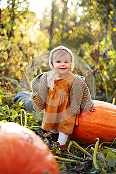 Laughing adorable baby girl with a pumpkin