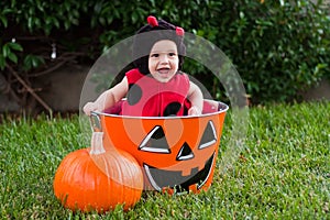 Laughing baby in ladybug Halloween costume