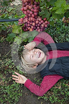 laughing boy lies on the ground under a bunch of large, ripe, delicious grapes
