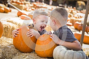 Laughing Boys at the Pumpkin Patch Talking and Having Fun