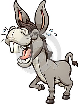 Laughing and braying gray donkey or mule