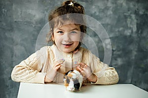 Laughing, curious, satisfied little girl hold hands above small spotty guinea pig carefully on table. Veterinary care