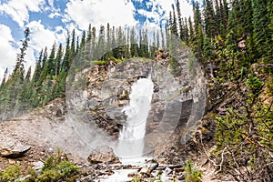 Laughing Falls - Yoho National Park