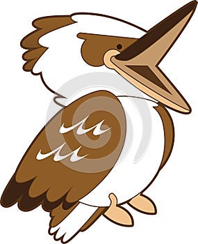 Laughing Kookaburra Cartoon photo