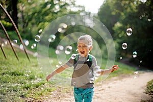 Laughing little boy with soap bubbles in summer park on sunny da