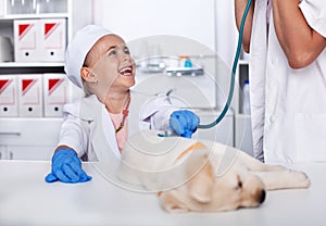 Laughing little girl playing veterinary doctor - examining her puppy dog at the animal healthcare facility