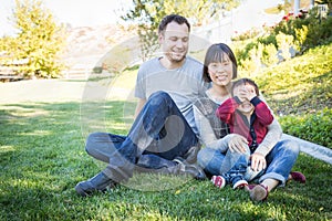 Laughing Mixed Race Family Having Fun Outside on the Grass