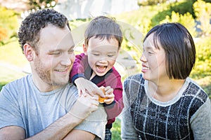 Laughing Mixed Race Family Having Fun Outside on the Grass
