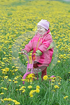 Laughing toddler girl standing at spring flowering dandelions meadow on kids pink and yellow tricycle photo