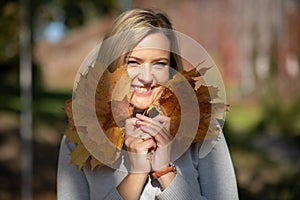 Laughingblond woman, picking up, holding bunch of golden foliage yellow leaves maples in two hands, shadow blur. Close