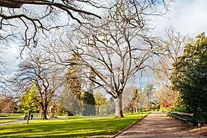 Launceston City Park Tasmania Australia