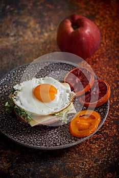 Launch with Grain bread with fried egg