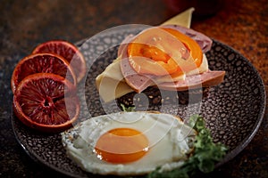 Launch with Grain bread with fried egg