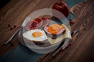 Launch with Grain bread with fried egg