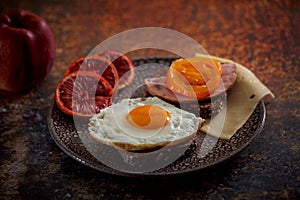 Launch with Grain bread with fried egg