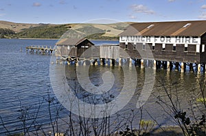 Launch for hire, Tomales Bay