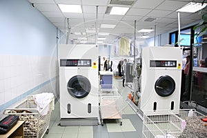 The laundry
