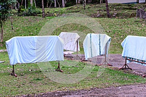 Laundry drying in a garden on a sunny summer day