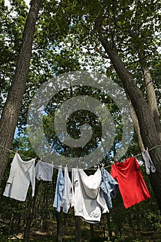 Laundry hanging between trees