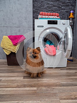 Laundry room interior with washing machine against the wall.