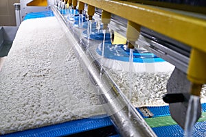 Laundry worker in the process of working on automatic machine for carpet washing in dry cleaning