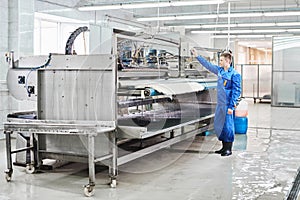 Laundry worker in the process of working on automatic machine for washing of carpets