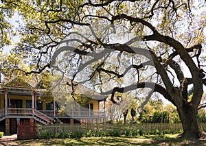 Laura Plantation, New Orlean