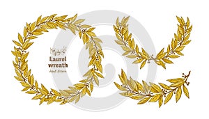 Laurel Bay leaves decorative wreath golden frame illustration