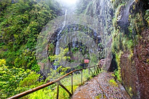 Laurel forest, Lewada das 25 fontes and Lewada do Risco , Madeira Island, Portugal