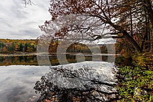 Laurel Lake Recreational Area in Pine Grove Furnace State Park i