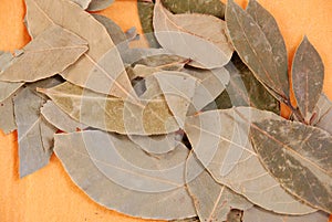 Laurel leaves