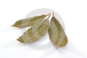 Laurel leaves