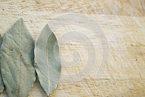 Laurel leaves on wooden background