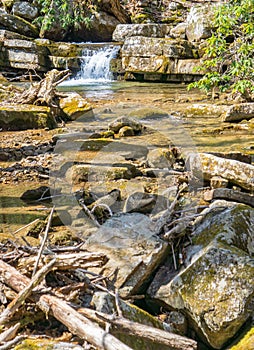 Laurel Run, Wild Mountain Trout Stream